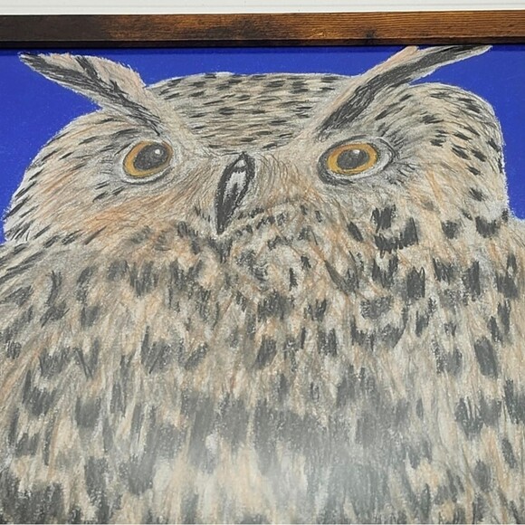 Handmade Framed Pencil Art Horned Owl Colored  Drawing 8x10 inch One of a Kind - Picture 2 of 12